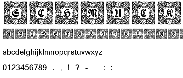 Schmuck-Initialen 3 font